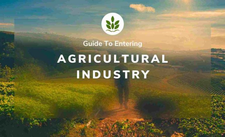 Your Guide To Entering the Agricultural Industry