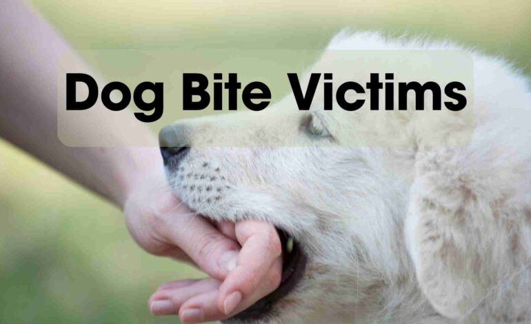 The Losses a Dog Bite Victim Will Face